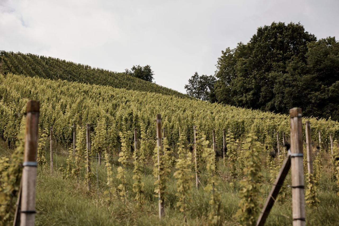 Bio Weingut Matthias Schnabl Hotel Gamlitz Bagian luar foto